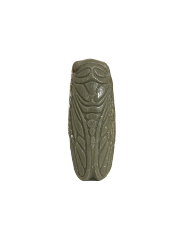 Decorative cicada soap